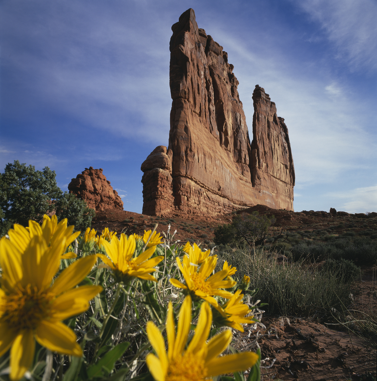 UT_0805r_04_16