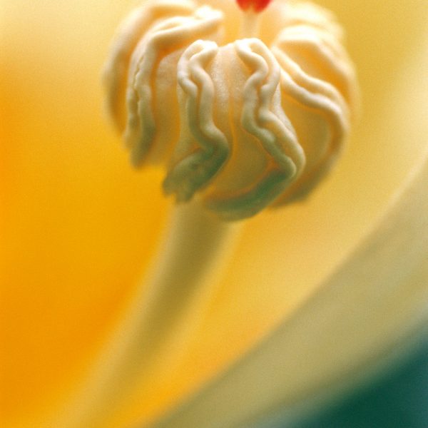 RA_MS_Flower_03