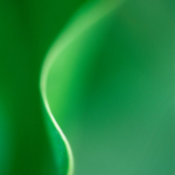 RA_MS_Flower_07